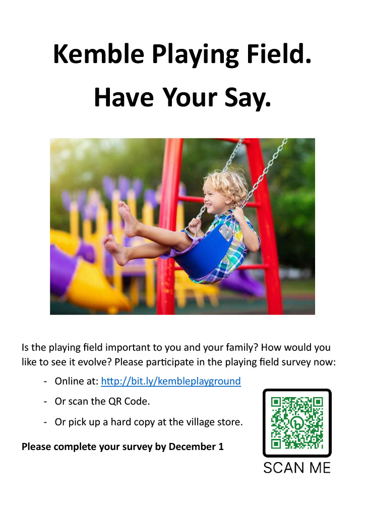 Playing Field Survey Poster